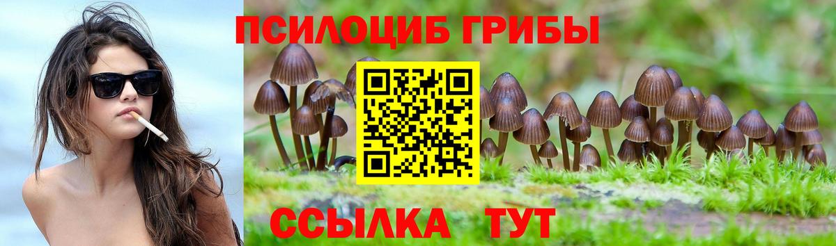 Галлюциногенные грибы Psilocybe  Вход с VPN  Углич  Галлюциногенные грибы MAGIC MUSHROOMS 